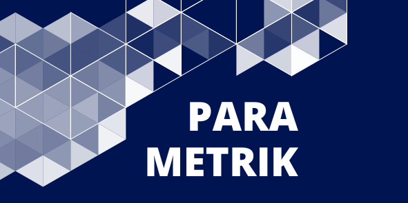 Videoportal - Parametrik