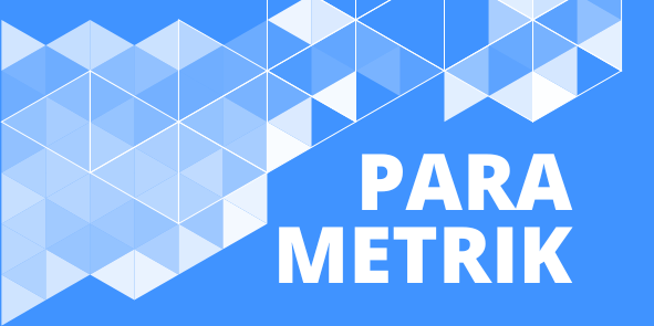 Videoportal - Parametrik